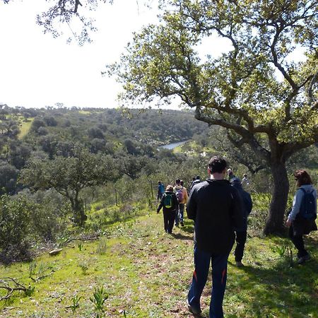 Agroturismo Xistos Cerca エクステリア 写真