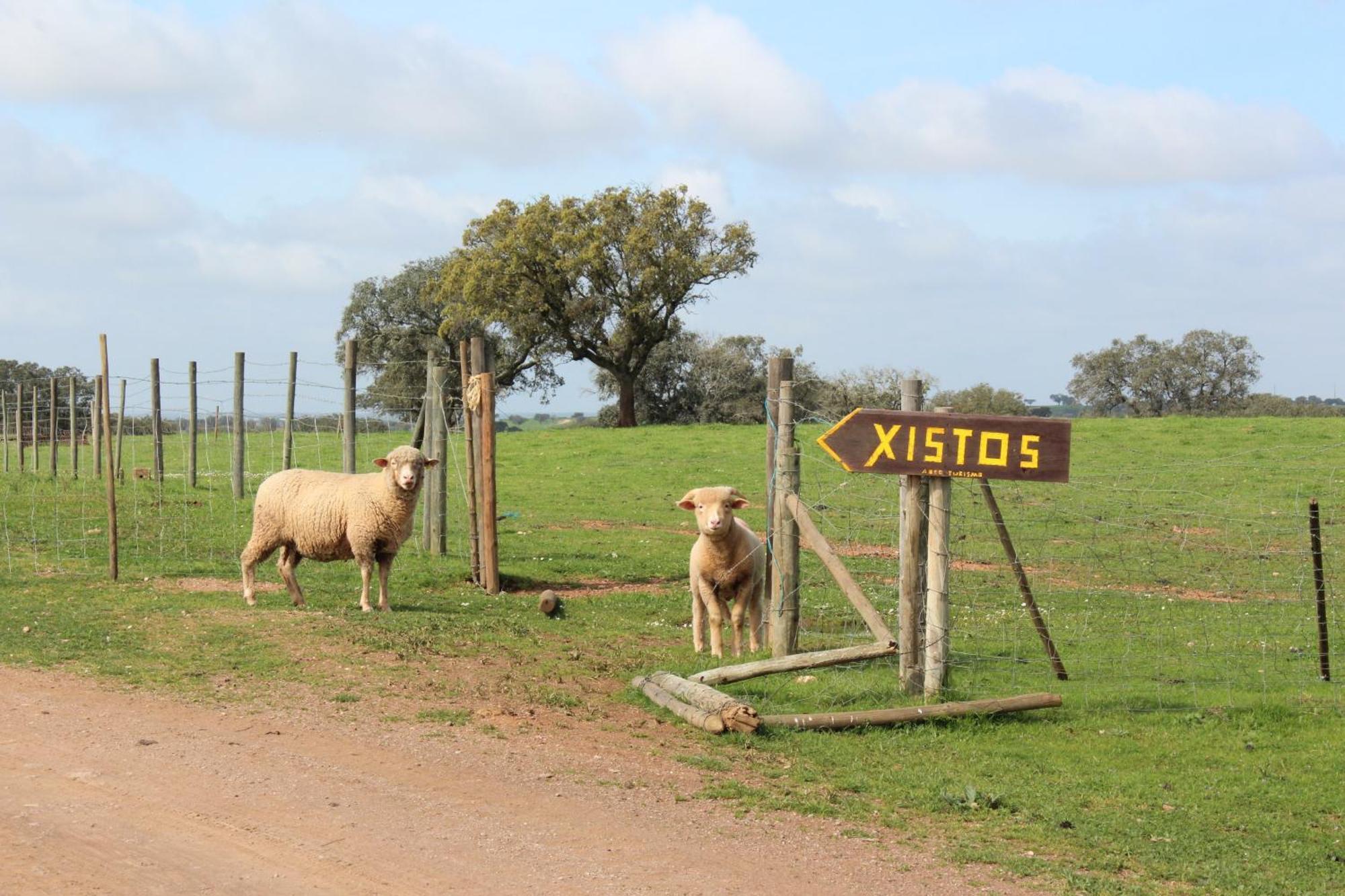 Agroturismo Xistos Cerca エクステリア 写真